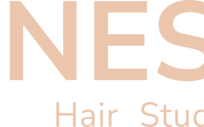 NESS Hair Studio